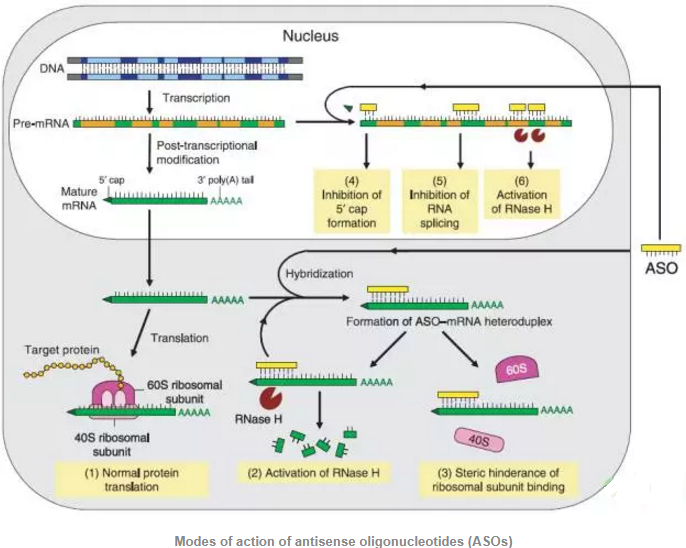 豪门国际官网-追求康健,你我一起开展