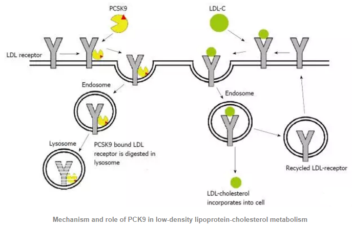 豪门国际官网-追求康健,你我一起开展