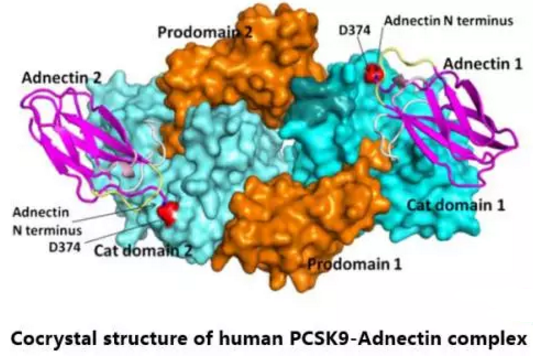豪门国际官网-追求康健,你我一起开展
