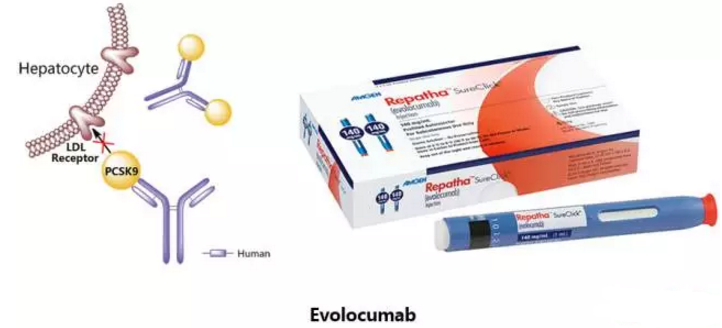 豪门国际官网-追求康健,你我一起开展