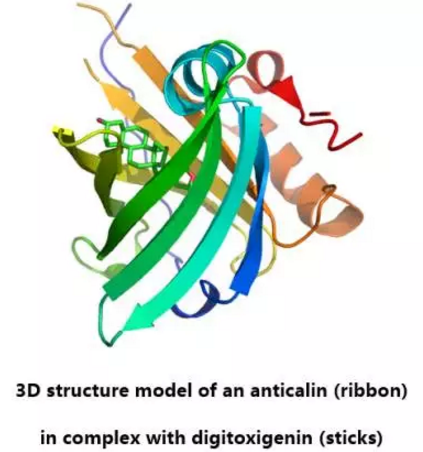 豪门国际官网-追求康健,你我一起开展