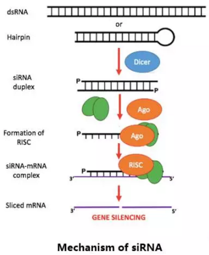 豪门国际官网-追求康健,你我一起开展