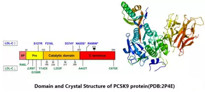 豪门国际官网-追求康健,你我一起开展