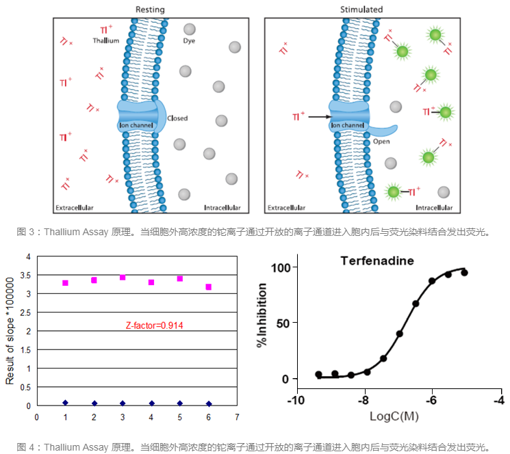 豪门国际官网-追求康健,你我一起开展