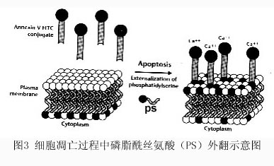 豪门国际官网-追求康健,你我一起开展