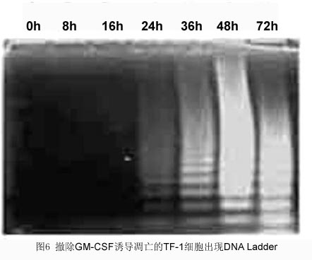 豪门国际官网-追求康健,你我一起开展