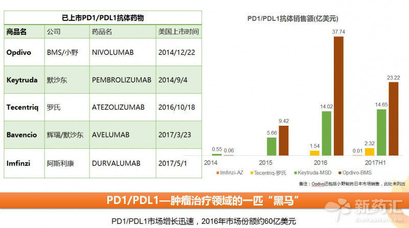 豪门国际官网-追求康健,你我一起开展