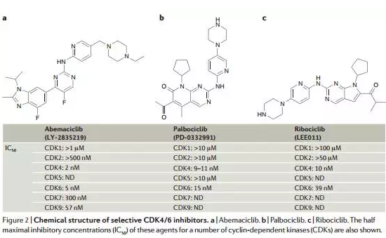 豪门国际官网-追求康健,你我一起开展