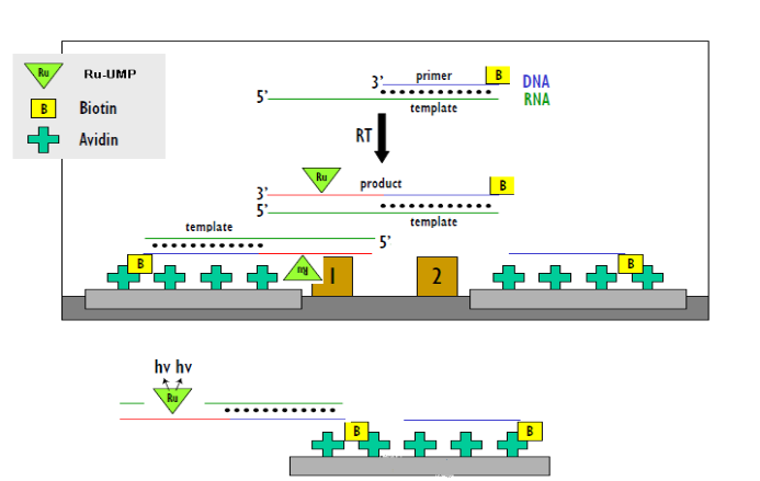 豪门国际官网-追求康健,你我一起开展