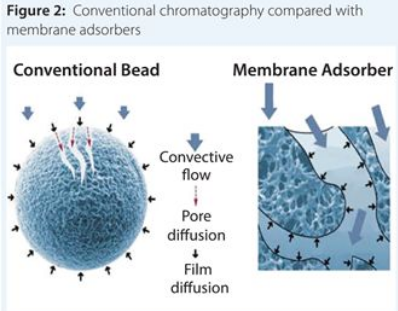 豪门国际官网-追求康健,你我一起开展