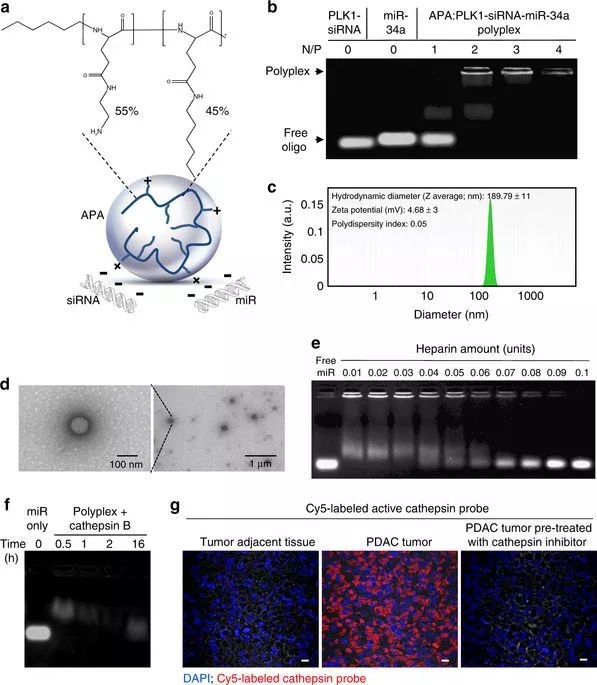 豪门国际官网-追求康健,你我一起开展