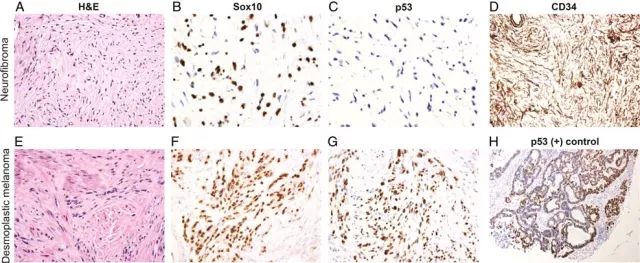 豪门国际官网-追求康健,你我一起开展