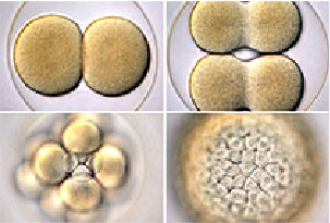 豪门国际官网-追求康健,你我一起开展
