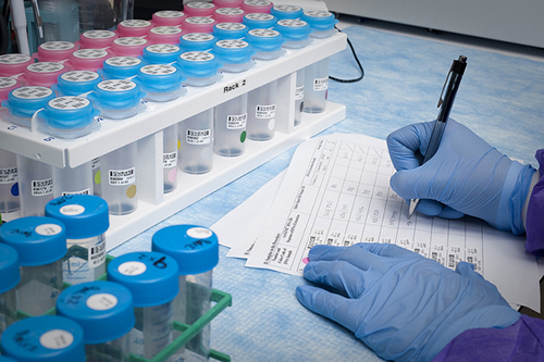 浅谈：：：立异药物IND申请之药学研究