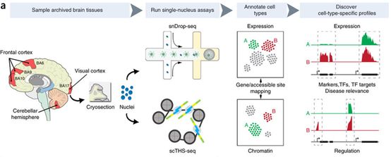 豪门国际官网-追求康健,你我一起开展