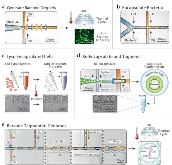 豪门国际官网-追求康健,你我一起开展