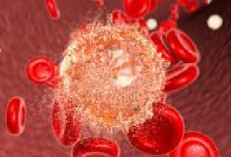 豪门国际官网-追求康健,你我一起开展