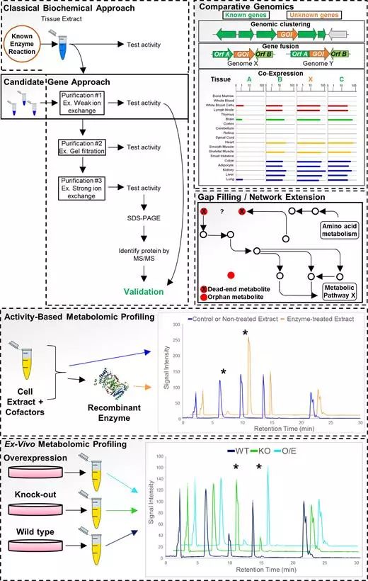 豪门国际官网-追求康健,你我一起开展