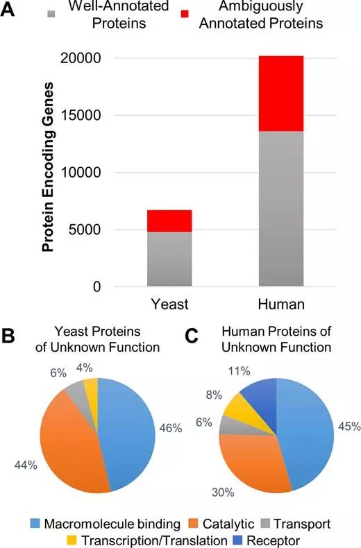 豪门国际官网-追求康健,你我一起开展