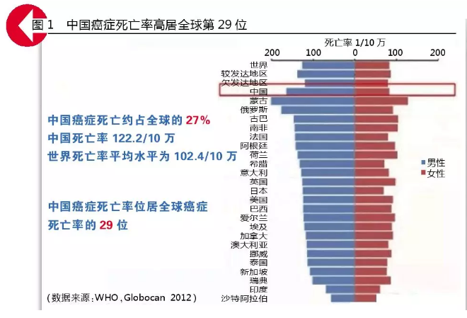 豪门国际官网-追求康健,你我一起开展