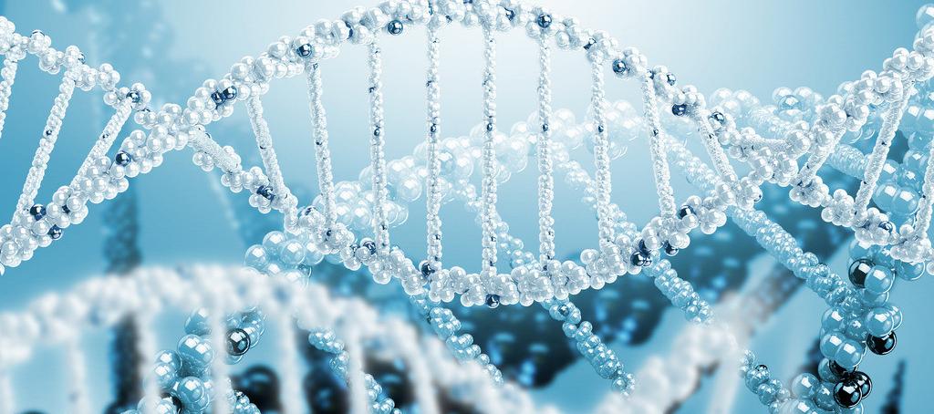 浅谈豪门国际官网抗体药物PK剖析要领学设计的思量要点