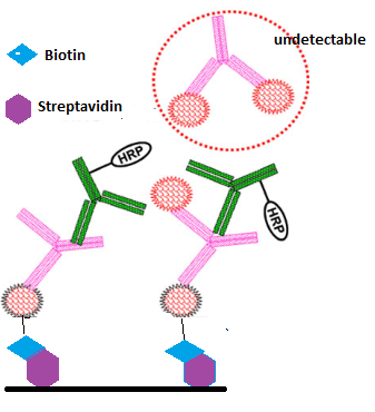 豪门国际官网-追求康健,你我一起开展