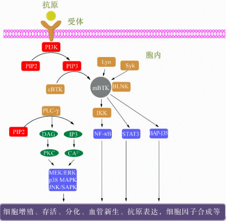 豪门国际官网-追求康健,你我一起开展