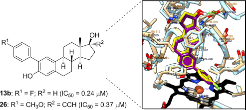 豪门国际官网-追求康健,你我一起开展