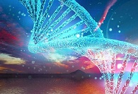 【盘货】抗肿瘤药物--精氨酸甲基转移酶（PRMT5）抑制剂的研究新希望