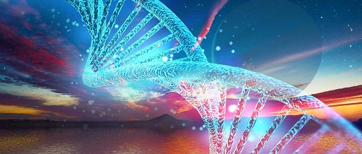 豪门国际官网-追求康健,你我一起开展