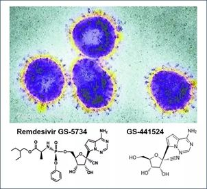 基于细胞因子风暴和免疫炎症反映综合征，，，许多免疫相关靶点也可以列为冠状病毒的靶点。。