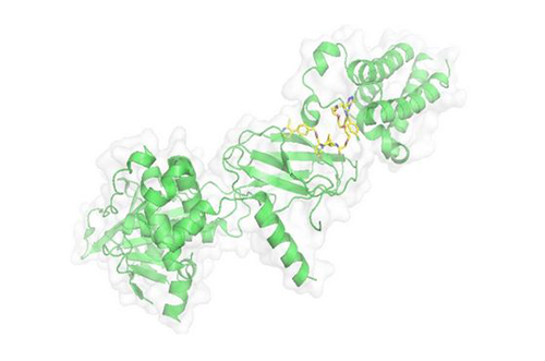 PROTAC手艺，，，马兴泉