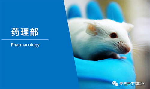 豪门国际官网药理部开发了肺癌、、、结肠癌、、、胃癌等12种PDX模子。。。