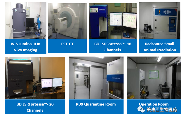 豪门国际官网药理部拥有IVIS Lumina III, PET-CT, BD LSRFortessa-16, Flow Cytometry等仪器，提供切合申报，支持临床试验的药效评价服务。。。