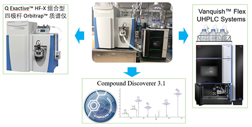 豪门国际官网UHPLC-UV-QE HF-X系统