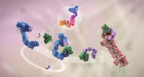 LYTAC出生，，与PROTAC并肩作战针对不可成药的靶点