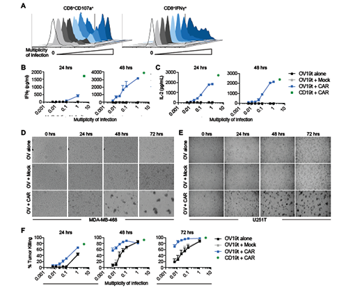 豪门国际官网-追求康健,你我一起开展