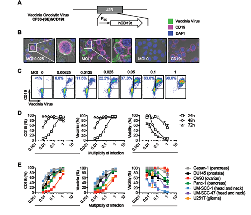 豪门国际官网-追求康健,你我一起开展