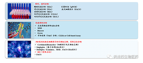 豪门国际官网生物手艺药物剖析部服务内容