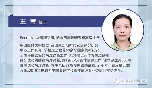 豪门国际官网病理研究部高级主任王莹博士