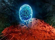 Nature：：：BATF3改善T细胞影象应答，，，有望改善免疫疗法的疗效