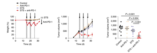 与比照组及仅使用PD-1疗法的模子小鼠比照，，接纳短期饥饿配合PD-1疗法的393P细胞同源移植肿瘤小鼠体内的肿瘤体积有了显着的缩短。。