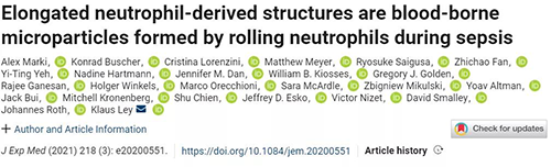 一种神秘颗粒被发明了 ！！！它能否成为败血症早筛标记物？？