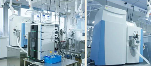 豪门国际官网DMPK剖析服务