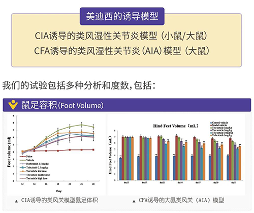 豪门国际官网诱导的类风湿性枢纽炎模子