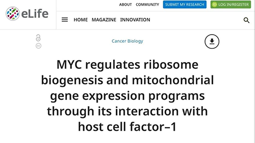 可以“融化”肿瘤的卵白质，，你一定没有听说过！