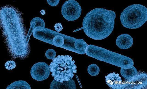 20分钟，大大都细菌都可以繁衍一代 豪门国际官网生物医药