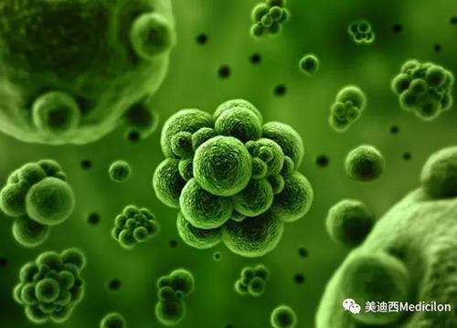 1分钟，全中国就有7.5人被确诊为患癌 豪门国际官网生物医药