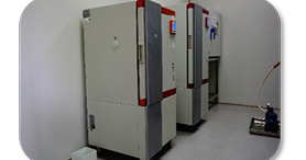 霉菌生化作育箱