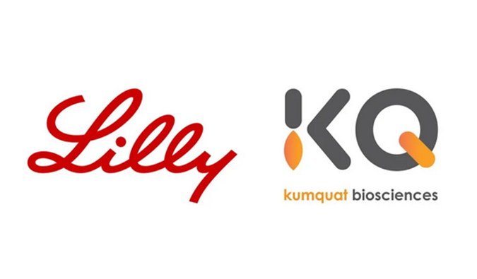 ：：！豪门国际官网相助同伴Kumquat Biosciences与礼来告竣相助，，配合开发肿瘤免疫小分子药